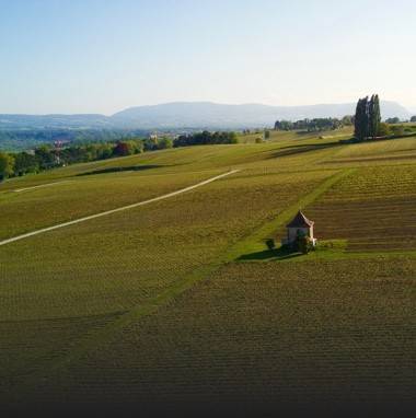 Campagne genevoise