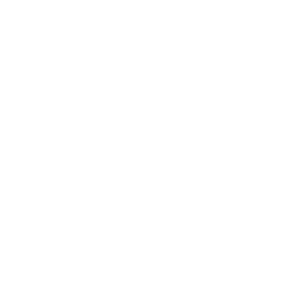 LE41