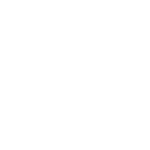 LE41