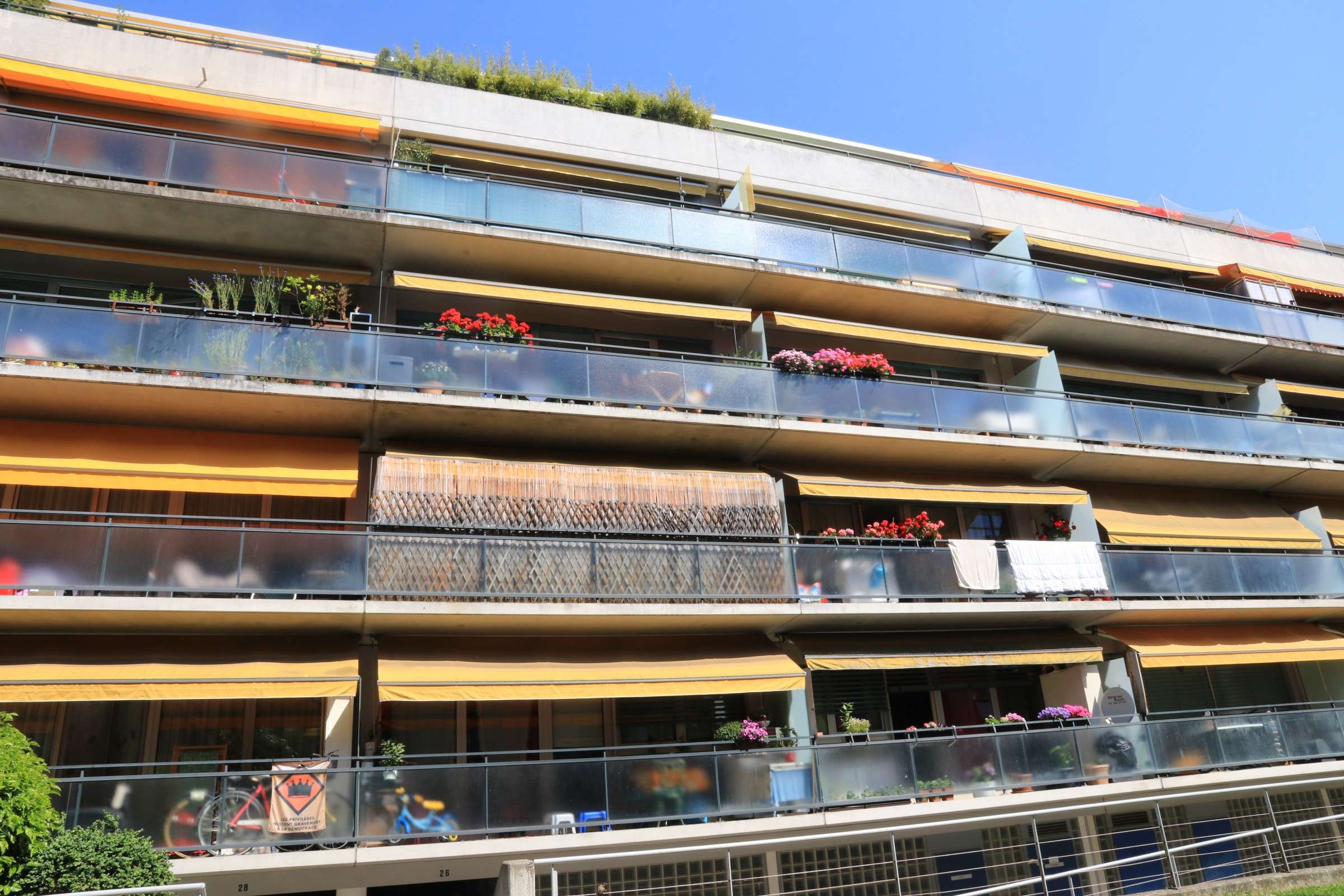Box intérieur 162 · Petit-Lancy
