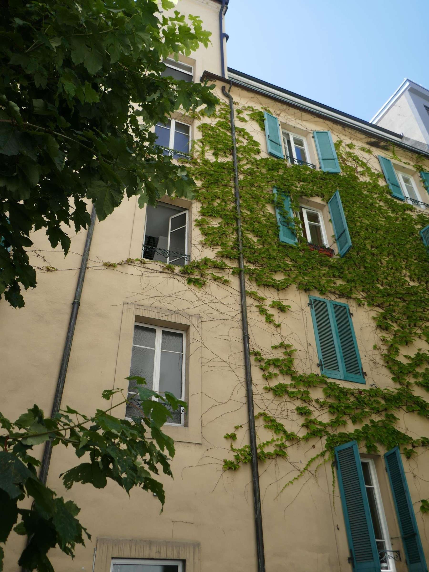 Appartement 1 pièce · Eaux-Vives