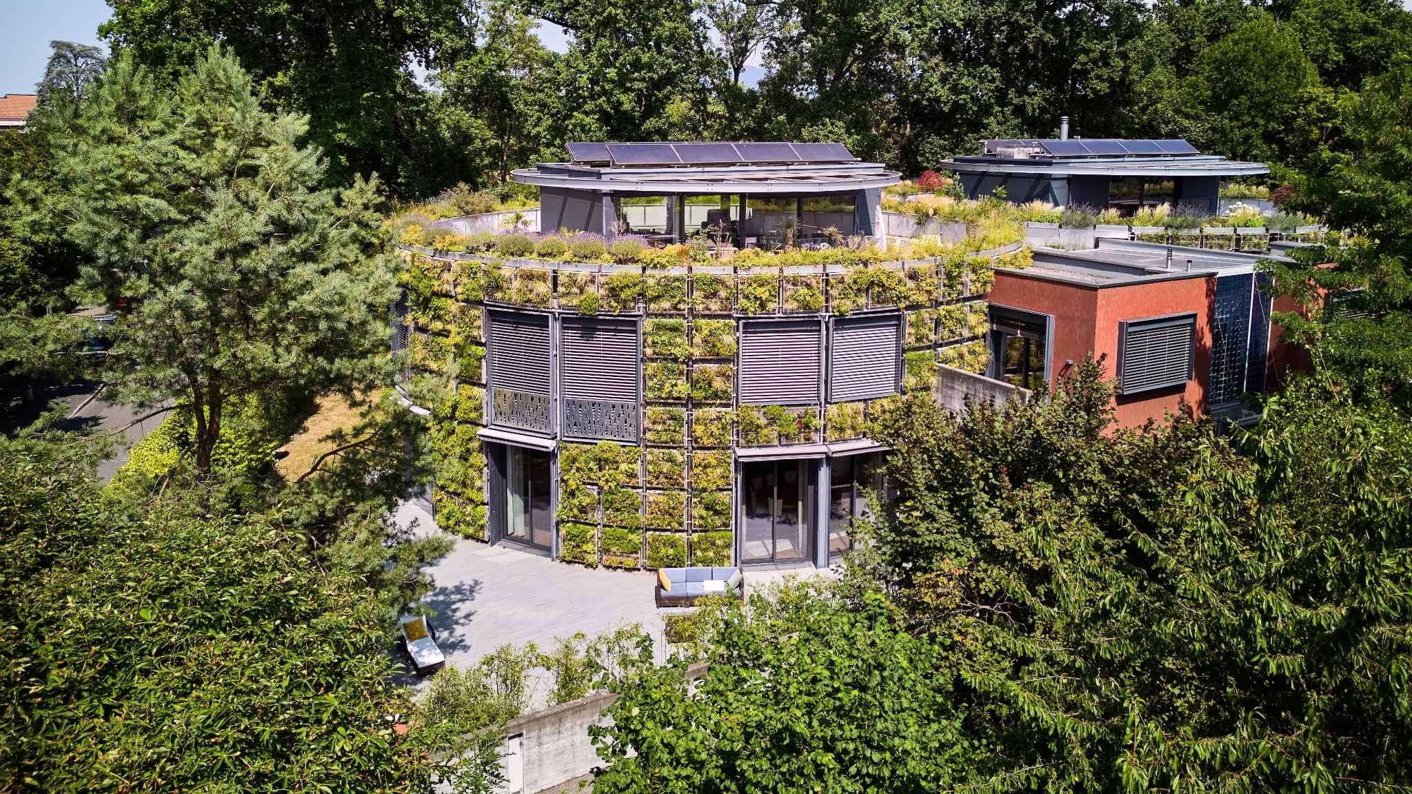 Magnificent apartment in Pinchat